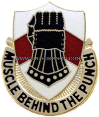 U.S. ARMY 495TH SUPPORT BATTALION UNIT CREST (DUI)