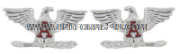 COAST GUARD AUXILIARY DEPUTY ASSISTANT NATIONAL COMMODORE COLLAR DEVICE