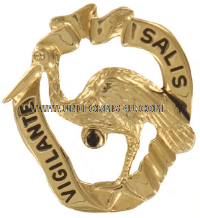 U.S. ARMY 191ST INFANTRY BRIGADE UNIT CREST (DUI)
