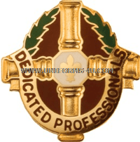 U.S. ARMY 8TH FIELD HOSPITAL UNIT CREST (DUI)