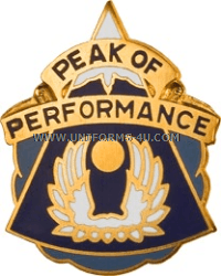 U.S. ARMY 20TH AVIATION BATTALION UNIT CREST (DUI)