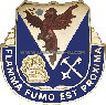 U.S. ARMY 206TH CHEMICAL BATTALION UNIT CREST (DUI)