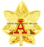 us coast guard auxiliary district staff officer (dso) cap rank device
