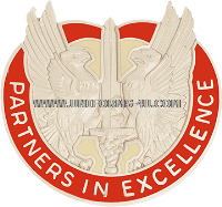 u.s. army 103rd support group unit crest