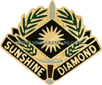 u.s. army 220th finance group unit crest