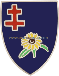 u.s. army 353rd regiment brigade combat team unit crest