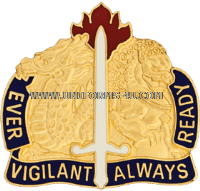 u.s. army 411th support group unit crest