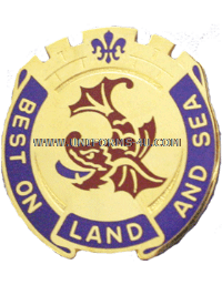 U.S. ARMY 202ND SUPPORT BATTALION UNIT CREST (DUI)