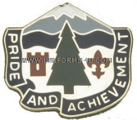 U.S. ARMY 380TH REPLACEMENT BATTALION UNIT CREST (DUI)
