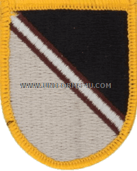 us army special warfare medical group flash and oval